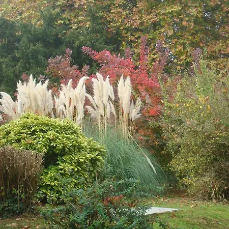 Chateau Du Rau - Dependance - N°12 Feriehus *