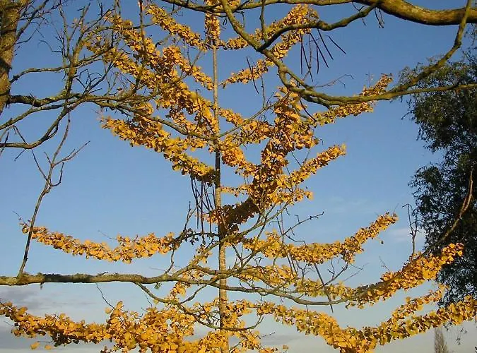 Château Du Rau - Dépendance - N°12 * Gamarde-les-Bains