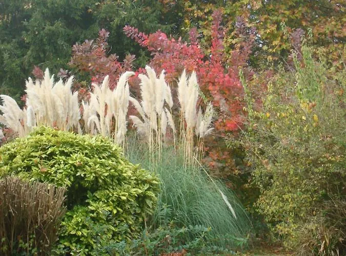 Château Du Rau - Dépendance - N°12 Casa de Férias *