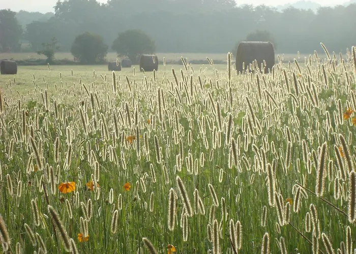 Château Du Rau - Dépendance - N°12 Casa de Férias Gamarde-les-Bains